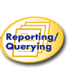 Reporting - Querying